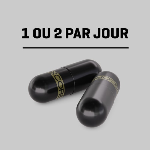 Acétyl-L-Carnitine 90 gélules (2)