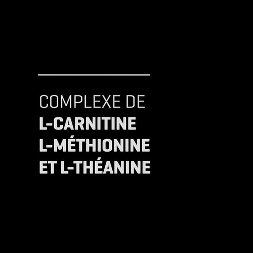 Acétyl-L-Carnitine 90 gélules (3)