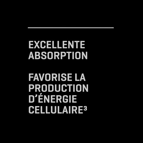 Acétyl-L-Carnitine 90 gélules (9)