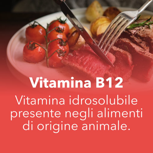 Vitamin B12 100 mcg 60 tabs (7)