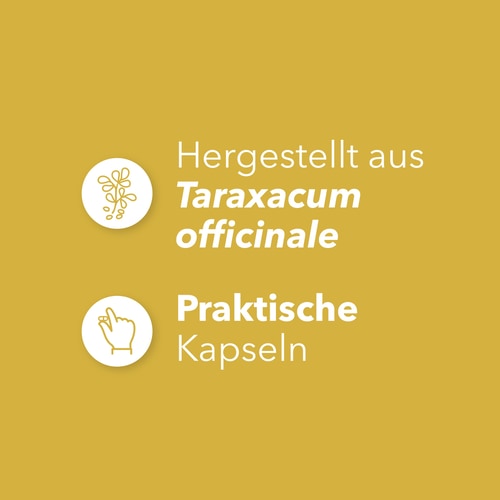 Löwenzahnwurzel 1500 mg 90 Kapseln (4)