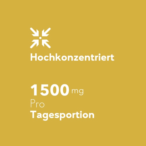 Löwenzahnwurzel 1500 mg 90 Kapseln (6)