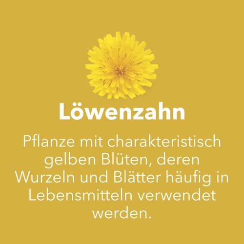 Löwenzahnwurzel 1500 mg 90 Kapseln (7)