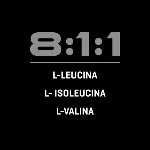 BCAA 8:1:1 300 g (4)