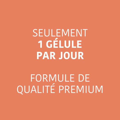 Ferrochel® - Fer 20 mg 60 gélules (3)