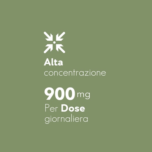 Gotu Kola (Centella asiatica) 900 mg 90 caps (6)