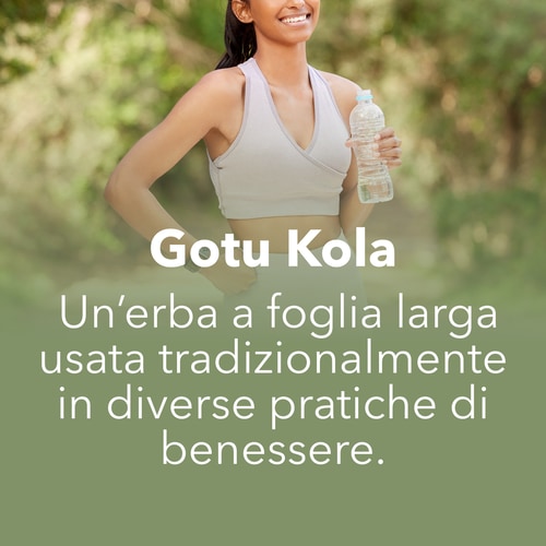 Gotu Kola (Centella asiatica) 900 mg 90 caps (7)