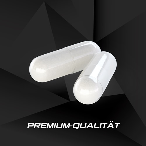 Creatine Creapure® 320 caps (2)