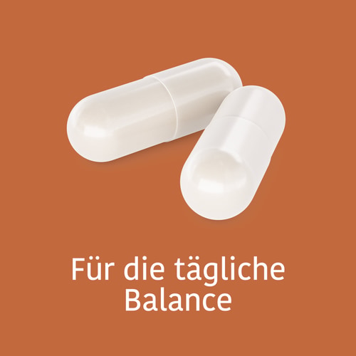 Koffein + Theanin (100 mg + 200 mg) 60 Kapseln (2)