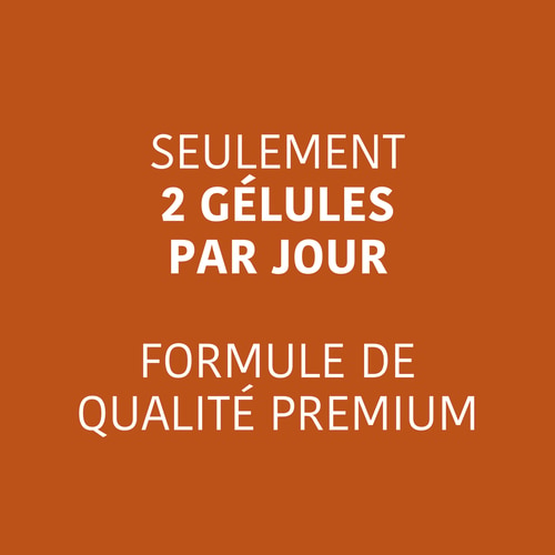 Caféine + Théanine (100 mg + 200 mg) 60 gélules (3)