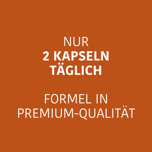 Koffein + Theanin (100 mg + 200 mg) 60 Kapseln (3)