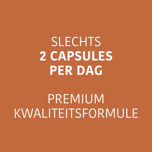 Cafeïne + Theanine (100 mg + 200 mg) 60 capsules (3)