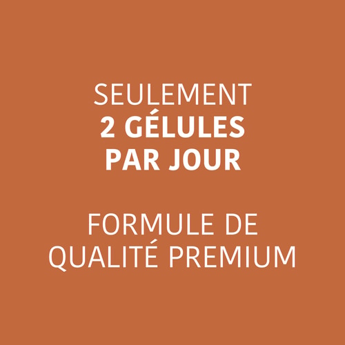 Caféine + Théanine (100 mg + 200 mg) 60 gélules (3)