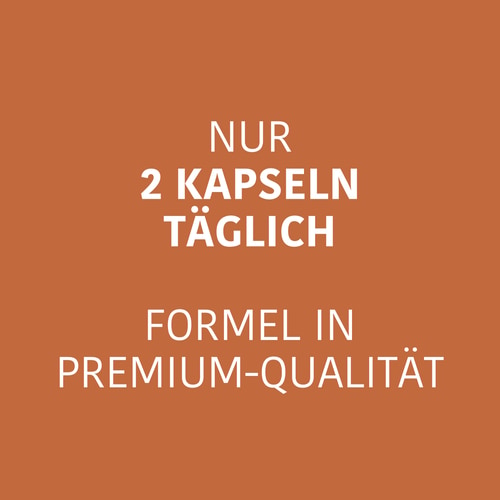 Koffein + Theanin (100 mg + 200 mg) 60 Kapseln (3)
