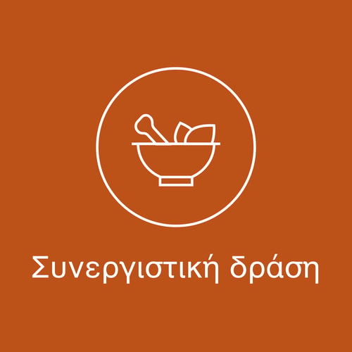Καφεΐνη + Θεανίνη (100 mg + 200 mg) 60 κάψουλες (7)