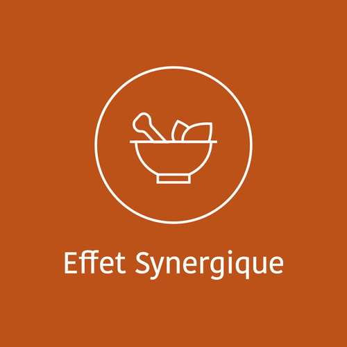 Caféine + Théanine (100 mg + 200 mg) 60 gélules (7)