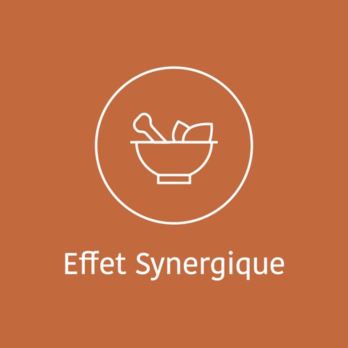 Caféine + Théanine (100 mg + 200 mg) 60 gélules (7)