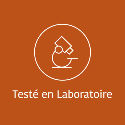 Caféine + Théanine (100 mg + 200 mg) 60 gélules (8)