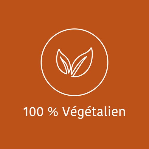 Caféine + Théanine (100 mg + 200 mg) 60 gélules (9)