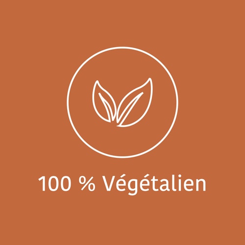 Caféine + Théanine (100 mg + 200 mg) 60 gélules (9)