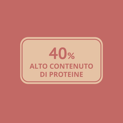 Farina di Lupini 250 g (6)