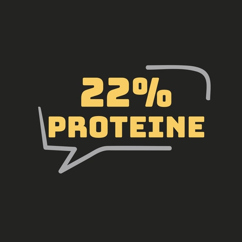 Waffle proteici (6 pz.) - Originale (4)