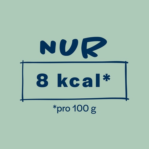 Konjak-Nudeln 270 g (6)