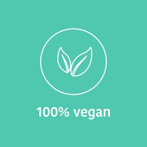 ZMA - Zinc, Magnesium and Vitamin B6 60 veg caps (9)