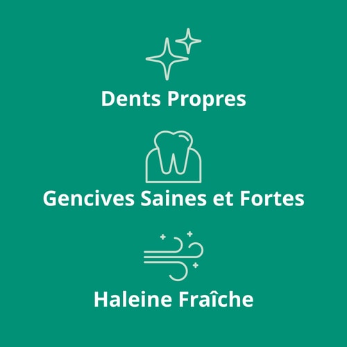 Dentifrice Bio 75 mL (7)