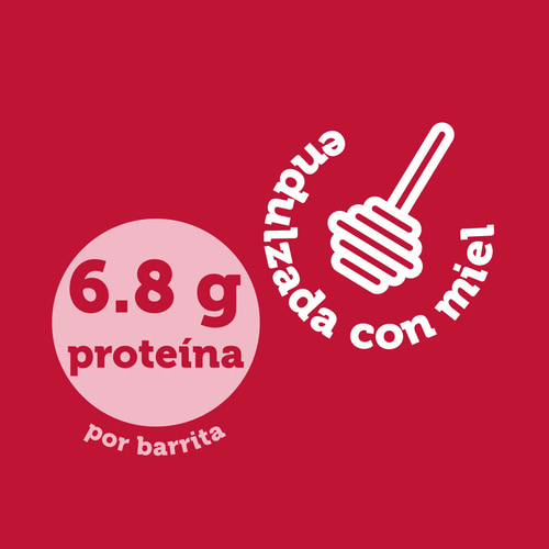 Nutzer Bar - Anacardo y frambuesa x 10 (6)