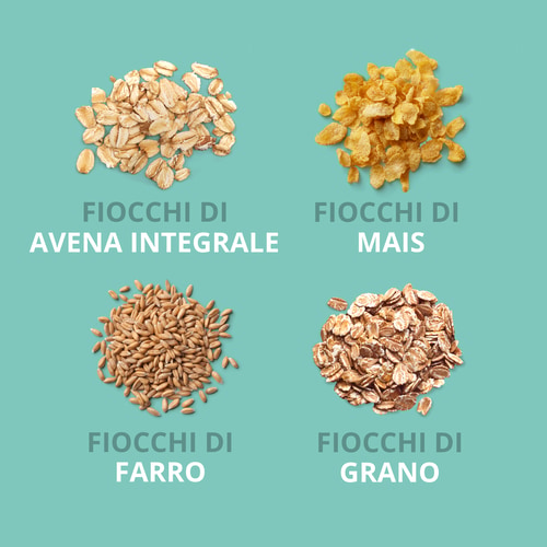 Protein Muesli 400 g Cioccolato e Cocco (7)
