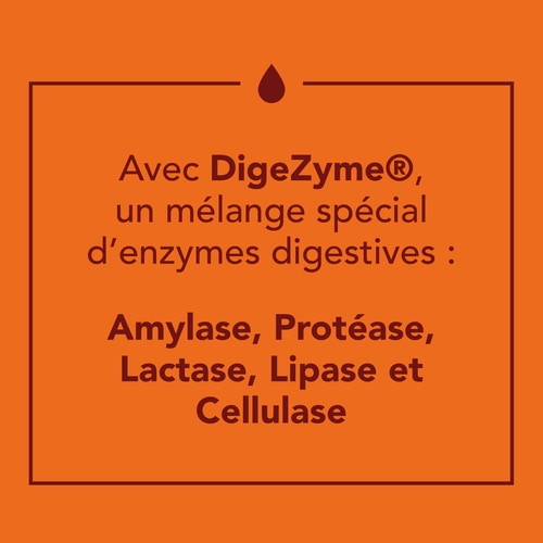 H2O Digestive - 8 sticks (6)