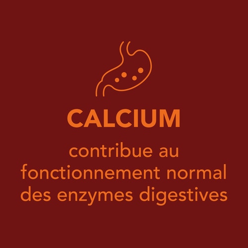 H2O Digestive - 8 sticks (9)