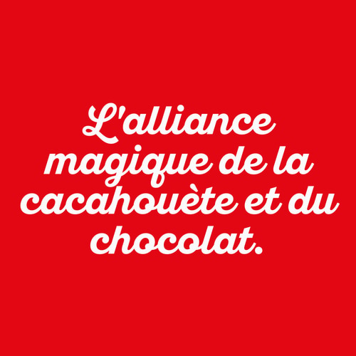 Peanut Choco Bar - Chocolat au Lait x 10 (3)