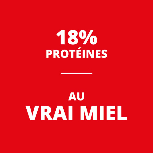Peanut Choco Bar - Chocolat au Lait x 10 (6)