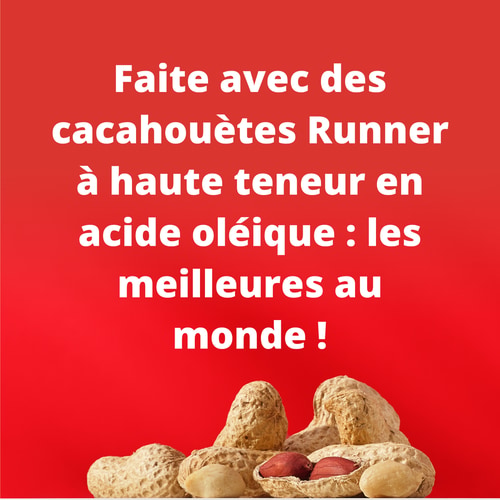 Peanut Choco Bar - Chocolat au Lait x 10 (9)