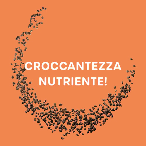 Mini Protein Cocoa Puffies 250 g (3)