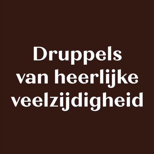 Chocoladedruppels - Geen toegevoegde suikers - Pure chocolade 150g (3)