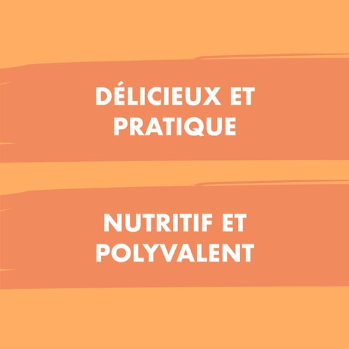 Porridge de Riz 750 g - Biscuit (5)