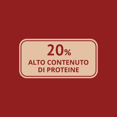 Farina di cocco 500g (6)