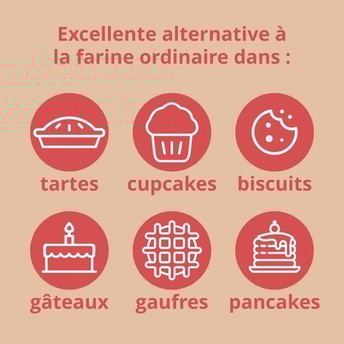 Farine de Coco 500 g (10)