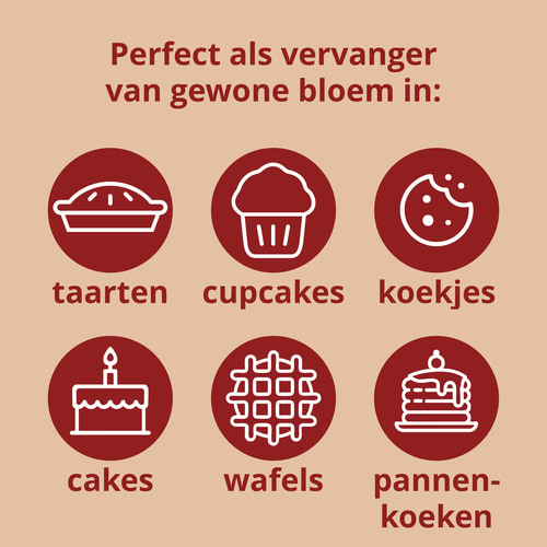 Kokosmeel 500g (10)