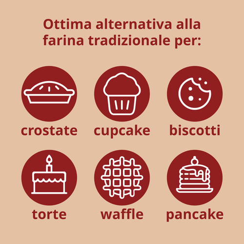 Farina di cocco 500g (10)