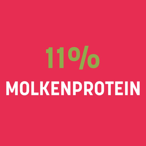Protein Skyr 15 Portionen (9)