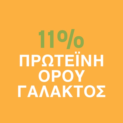 Πρωτεΐνη Skyr 15 Μερίδες (9)