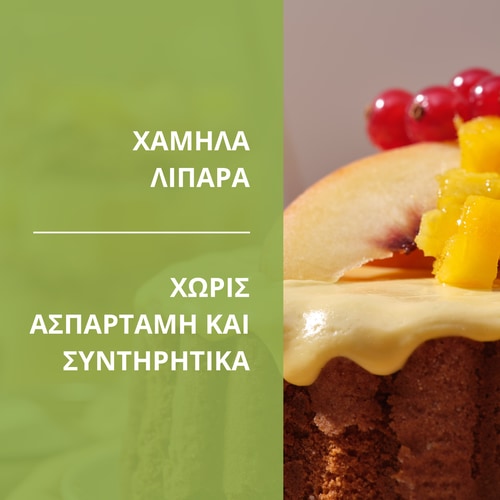 Πρωτεΐνη Skyr 15 Μερίδες (10)
