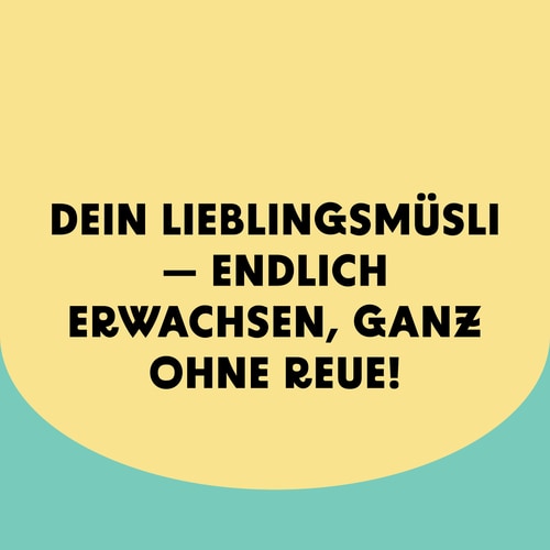 Protein Loops – Proteinreiche Müsliringe – Zimt (9)