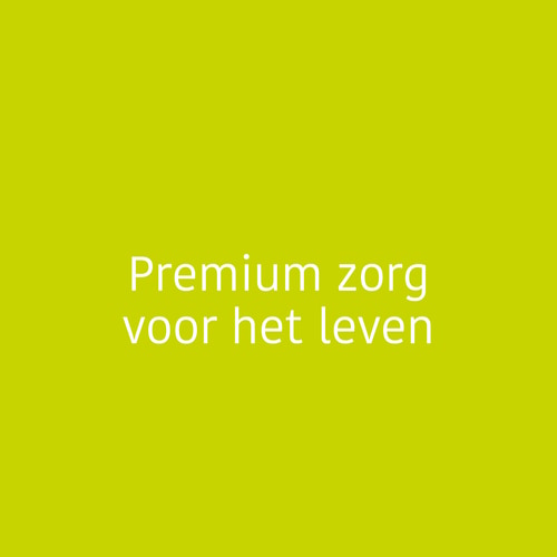 DigeZyme® 160 mg 90 veg caps (3)