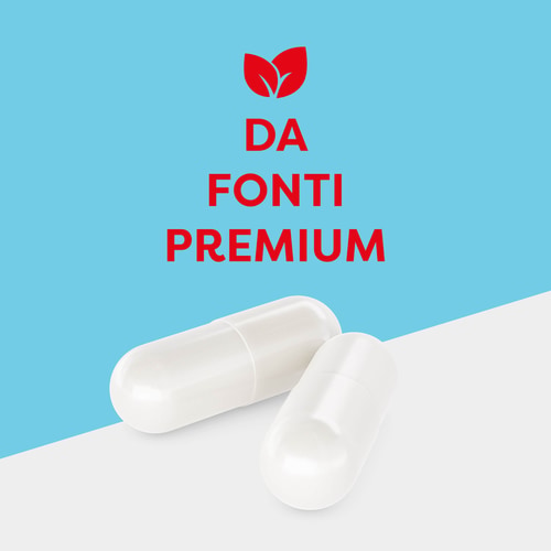 Acetil-L-Carnitina 1000 mg 60 capsule (2)