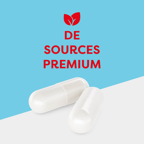 Acétyl-L-Carnitine 1000mg 60 gélules (2)